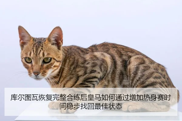库尔图瓦恢复完整合练后皇马如何通过增加热身赛时间稳步找回最佳状态
